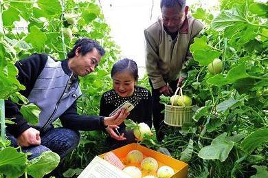 农村新机遇 初级农产品销售的广阔市场与致富路径