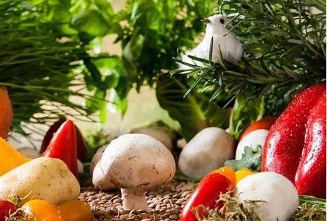 我国生鲜农产品供应链基本模式探析 从田间到餐桌的初级农产品销售之路