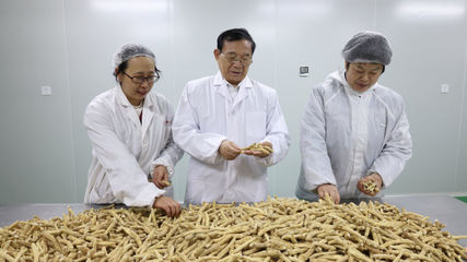 颐阳集团 以新质生产力赋能西洋参产业，重塑初级农产品销售新格局