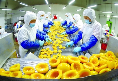 出口冷冻黄桃丁 开拓国际市场，助力初级农产品销售